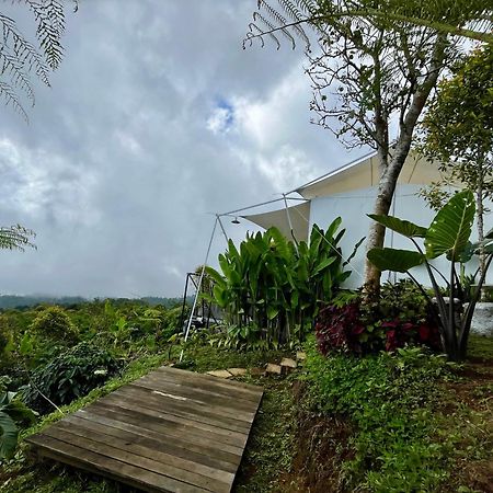 Отель Harsa Eco Luxury Camp Gobleg  Экстерьер фото